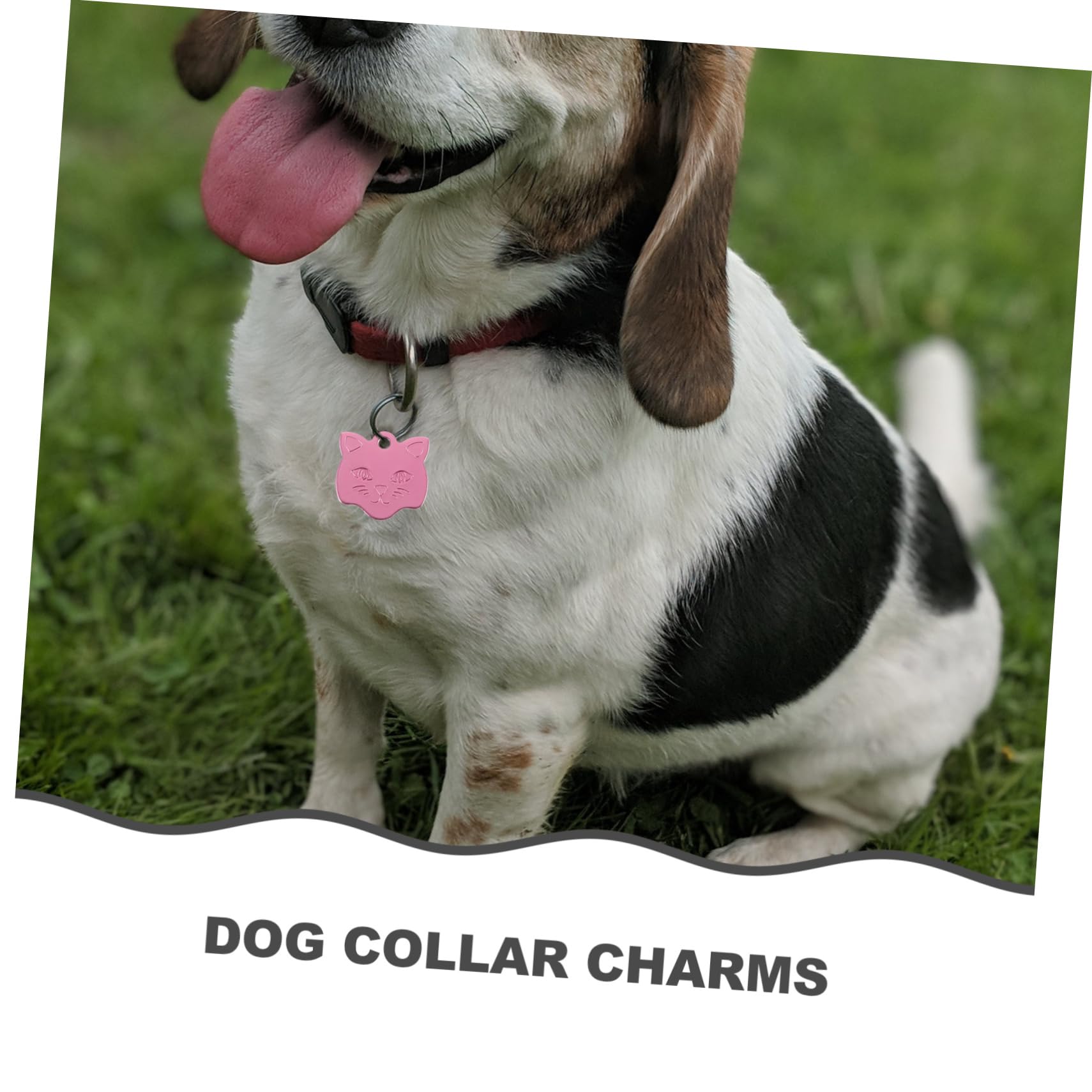 Toddmomy 50pezzi Targhette Forma Di Testa Di Gatto Per Cani Adorabili Etichette Per Da Collare Per Animali Domestici Di Accessori Decorativi Per Collari Di Cani e Gatti