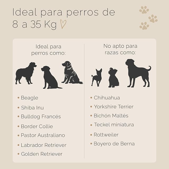 Foto 6 de 8 de Tailoir Correa Perro 2 Metros - Correa para Perros, Correas Perros, Azul