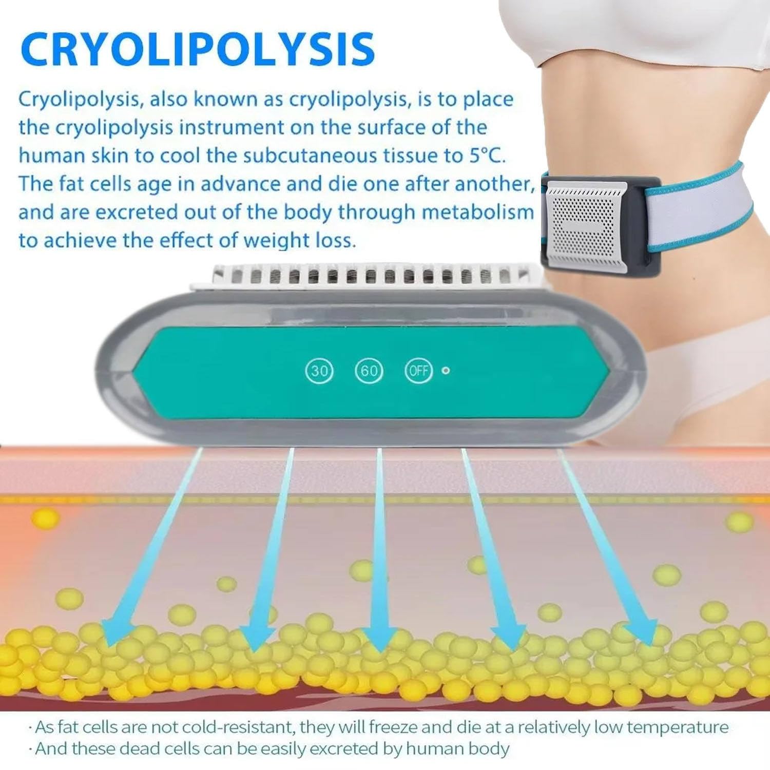 Appareil De Cryolipolyse Portable, Soin du Corps pour La Silhouette
