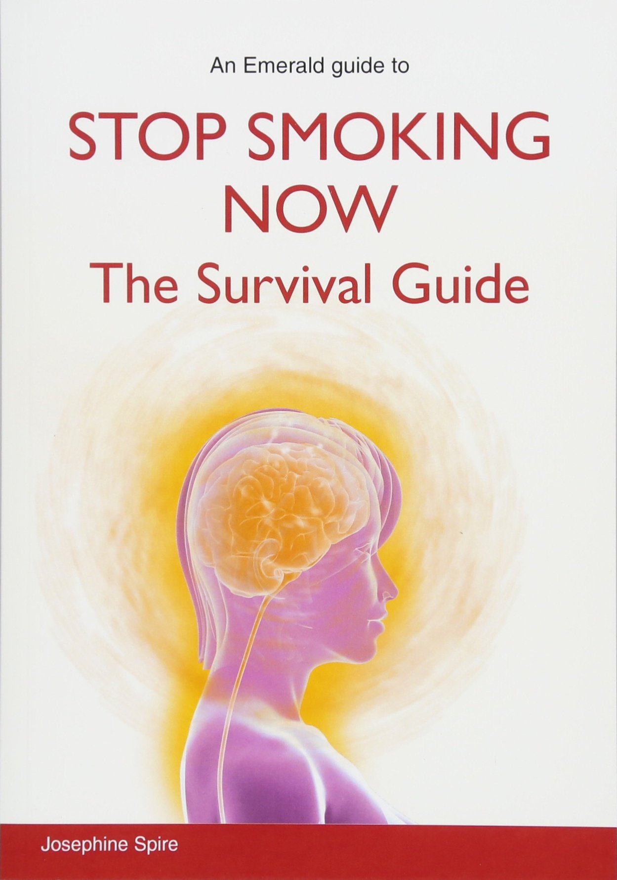 Stop Smoking Now: The Survival Guide