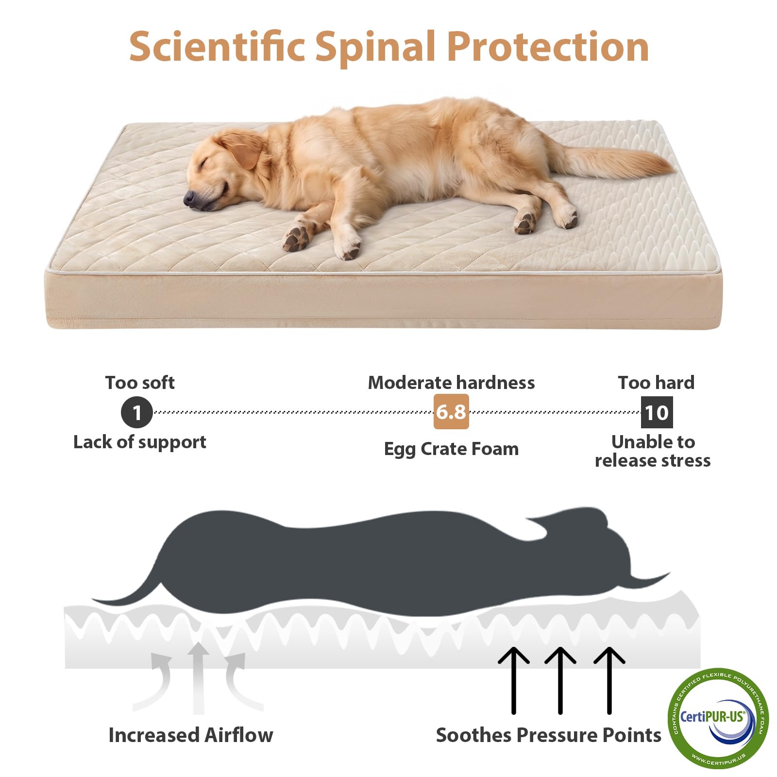 WNPETHOME Orthopedic Waterproof Extra Large Senior Dogs Bed for Comfy Sleep view 3