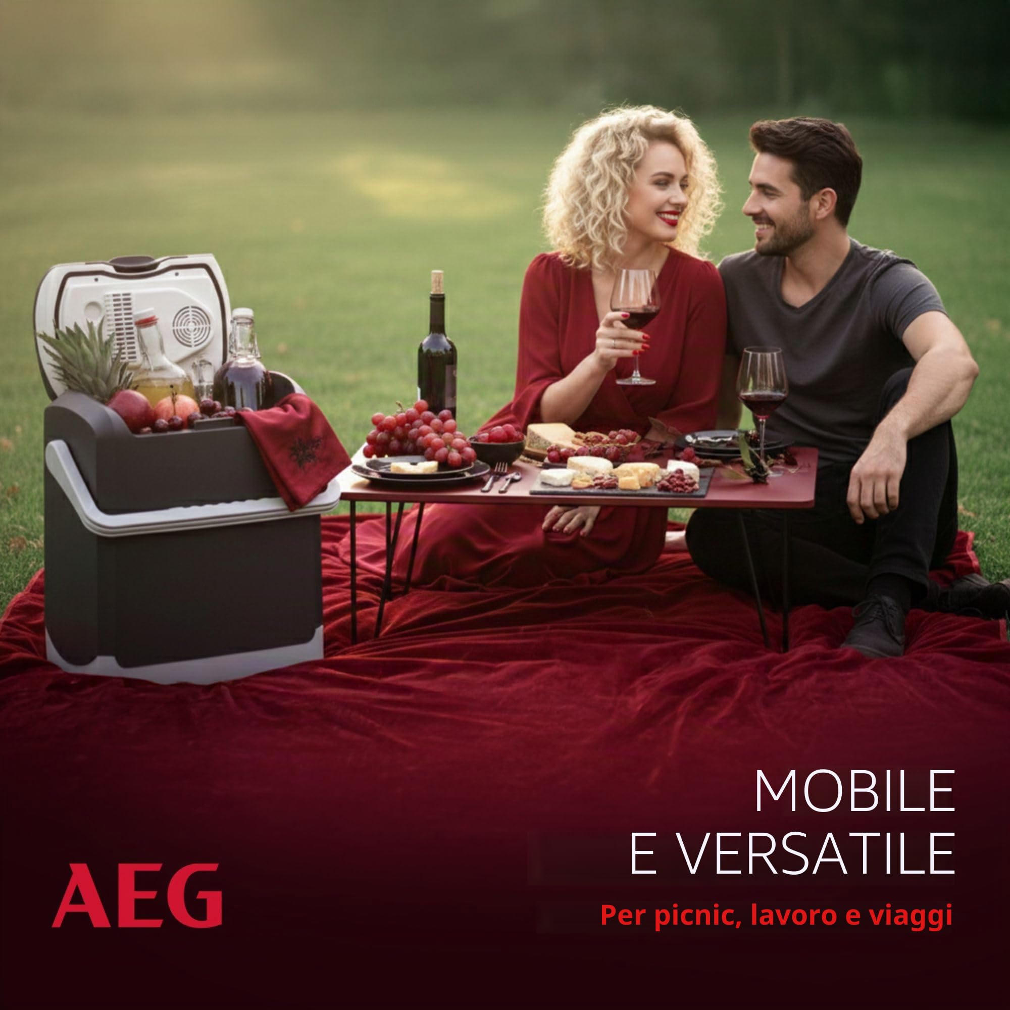 AEG Automotive 10695 Contenitore termoelettrico per Frigorifero e Riscaldamento KK 14 Litri, 12/230 Volt per Auto e Presa, 14 Liter