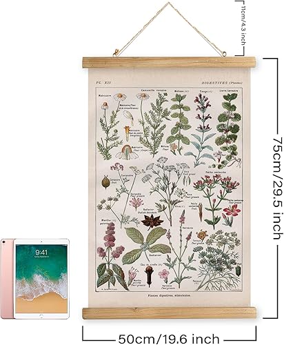 Miniatura 16 de XIAOAIKA Póster de botánica vintage con marco de madera, tabla de plantas venenosas antiguas, arte educativo botánico con especies peligrosas, 1