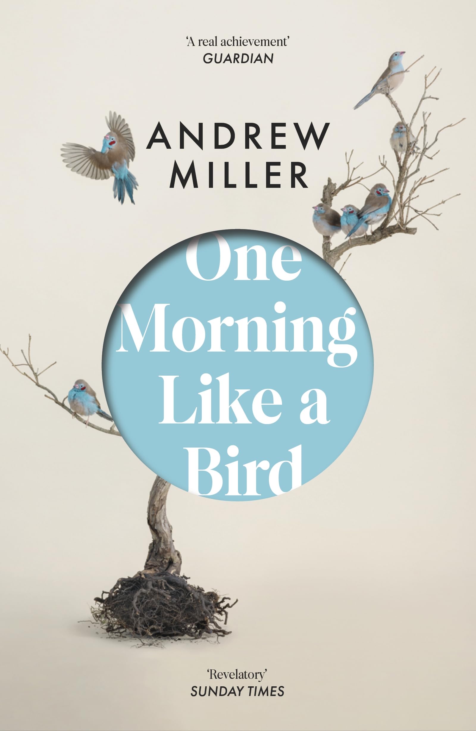 One Morning Like a Bird by Andrew Miller Paperback