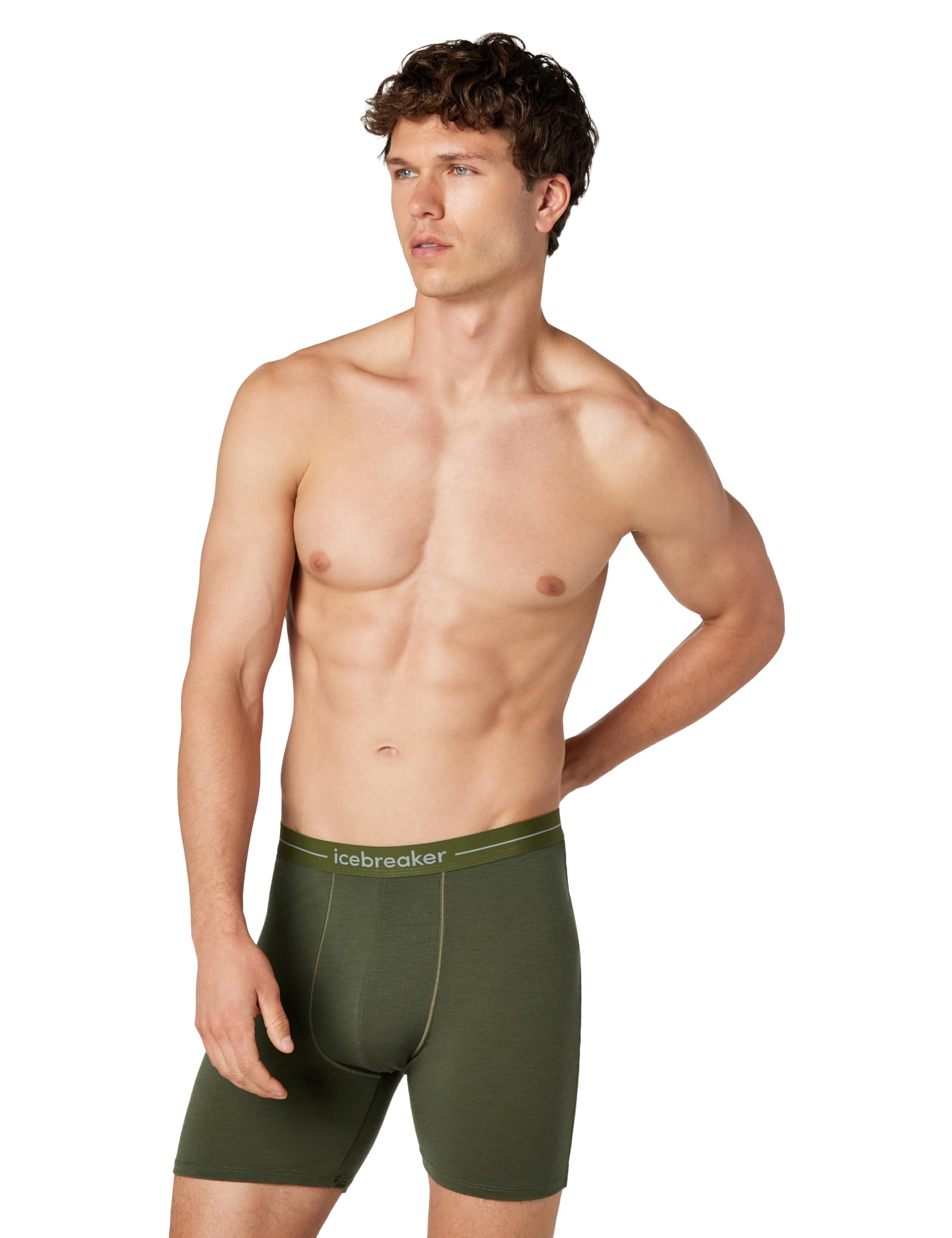 Icebreaker Merino Men's Underwear Anatomica Long Boxers Shorts, Loden, M