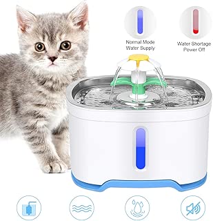 Amazonfr Fontaine à Eau Chat Animalerie