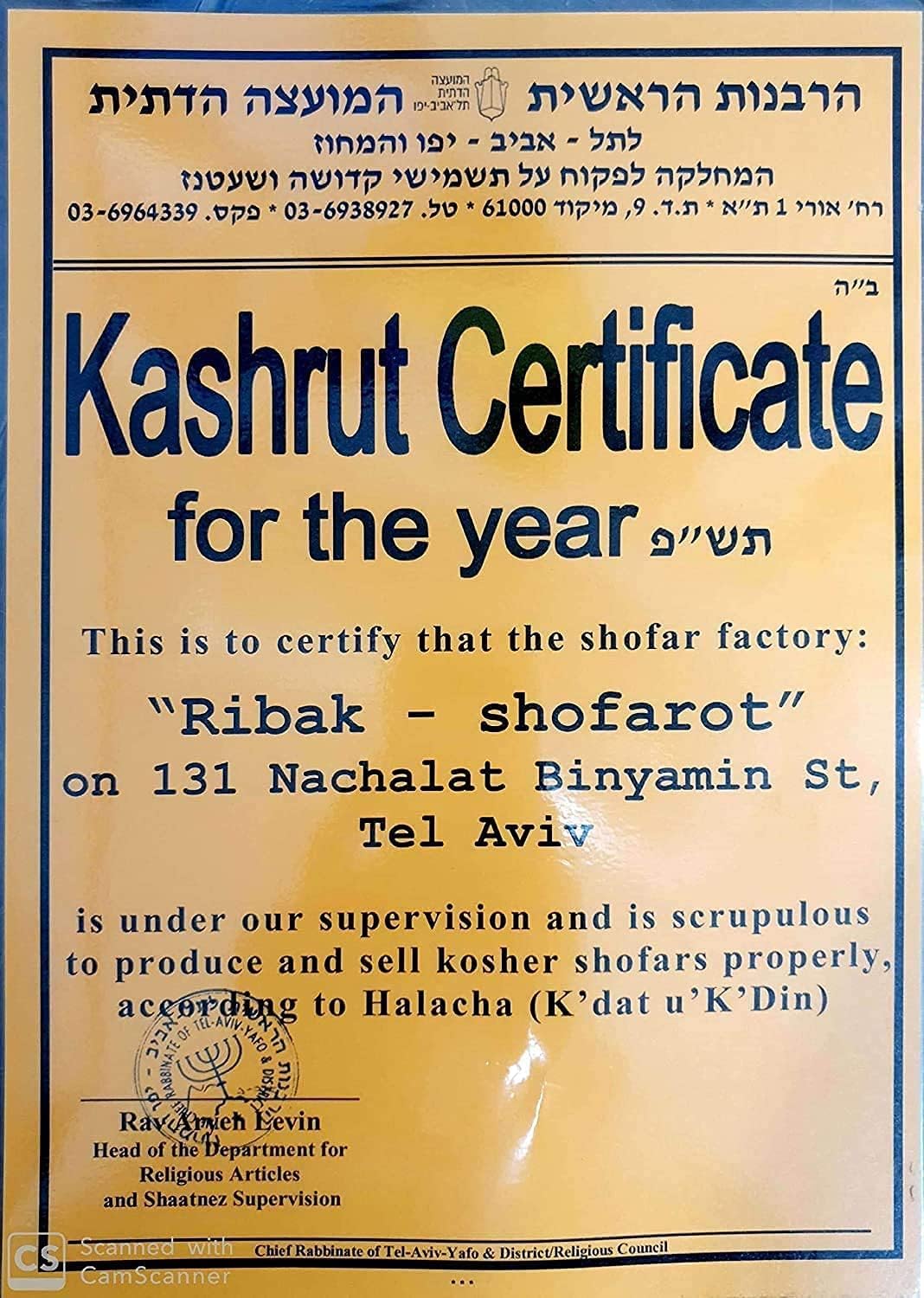 Großer jemenitischer Kudu-Schofar (96,5–101,6 cm) – authentischer koscherer Schofar aus Israel – handgefertigter natürlicher Kudu-Horn-Schofar mit Tragetasche – Shofarot Israel