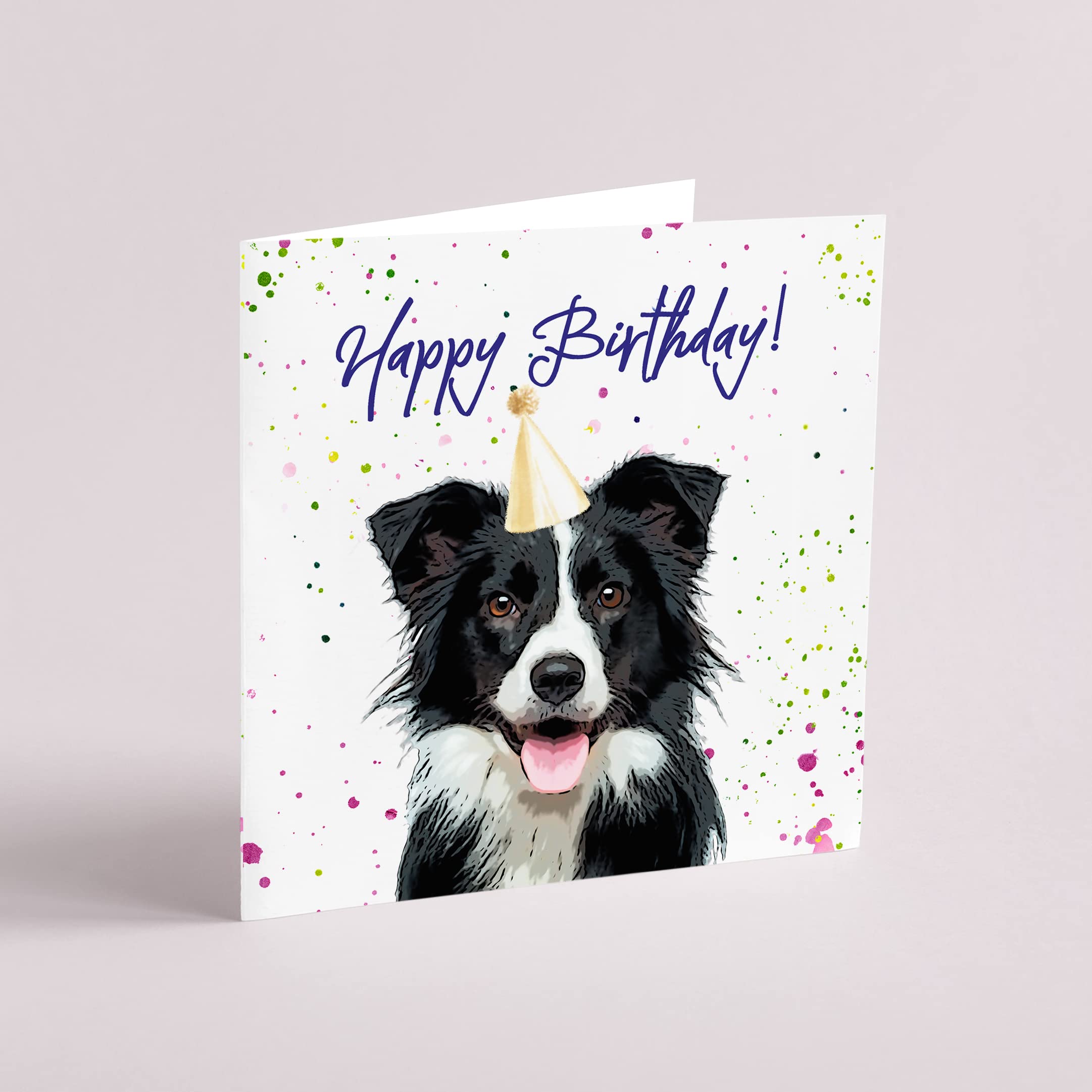 DV DESIGN Samoiedo, penna nera per cani, cuccioli, animali