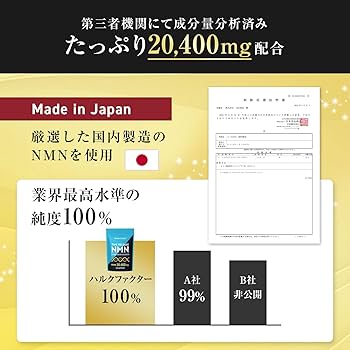 【最終価格】1500pt還元 実質4万円マイブレンドキット　ブレンドファクトリー SBI BEST NMN 19.98g（333mg×60粒）