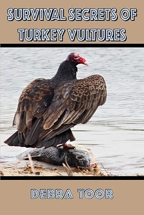 Survival Secrets of Turkey Vultures
