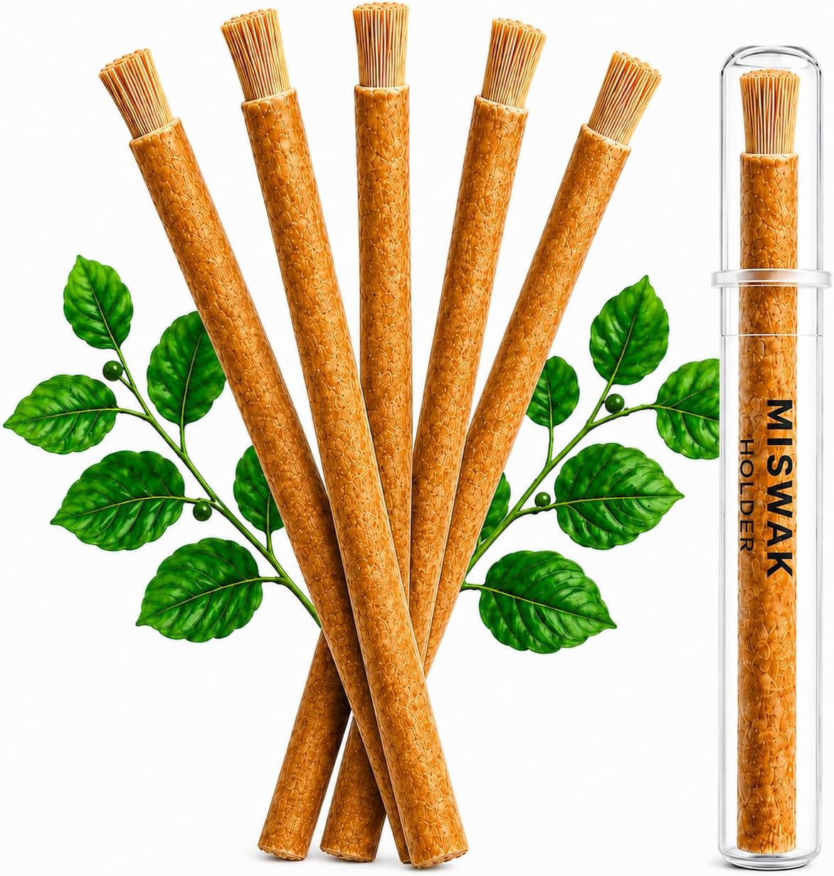 Miswak Sticks for Teeth Pack of 6 with Holder, Natural Toothbrush for Healthy Gums, Teeth and Fresher Breath, Supports Teeth Whitening, Organic Wooden Vacuum Sealed Sticks
