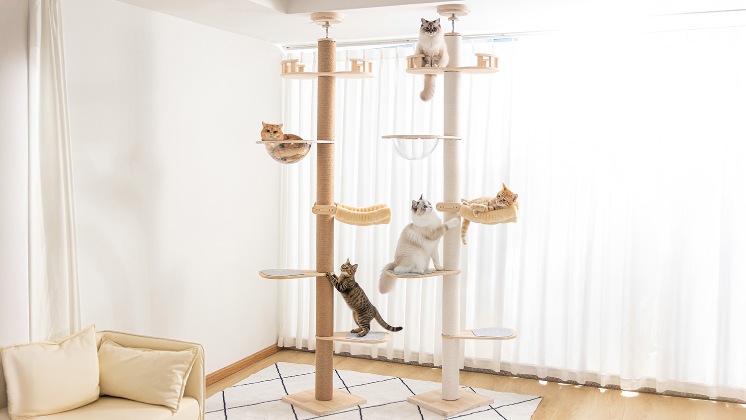 Amazon | PETTIFUL キャットタワー 突っ張り 木製 大型猫 コットン紐