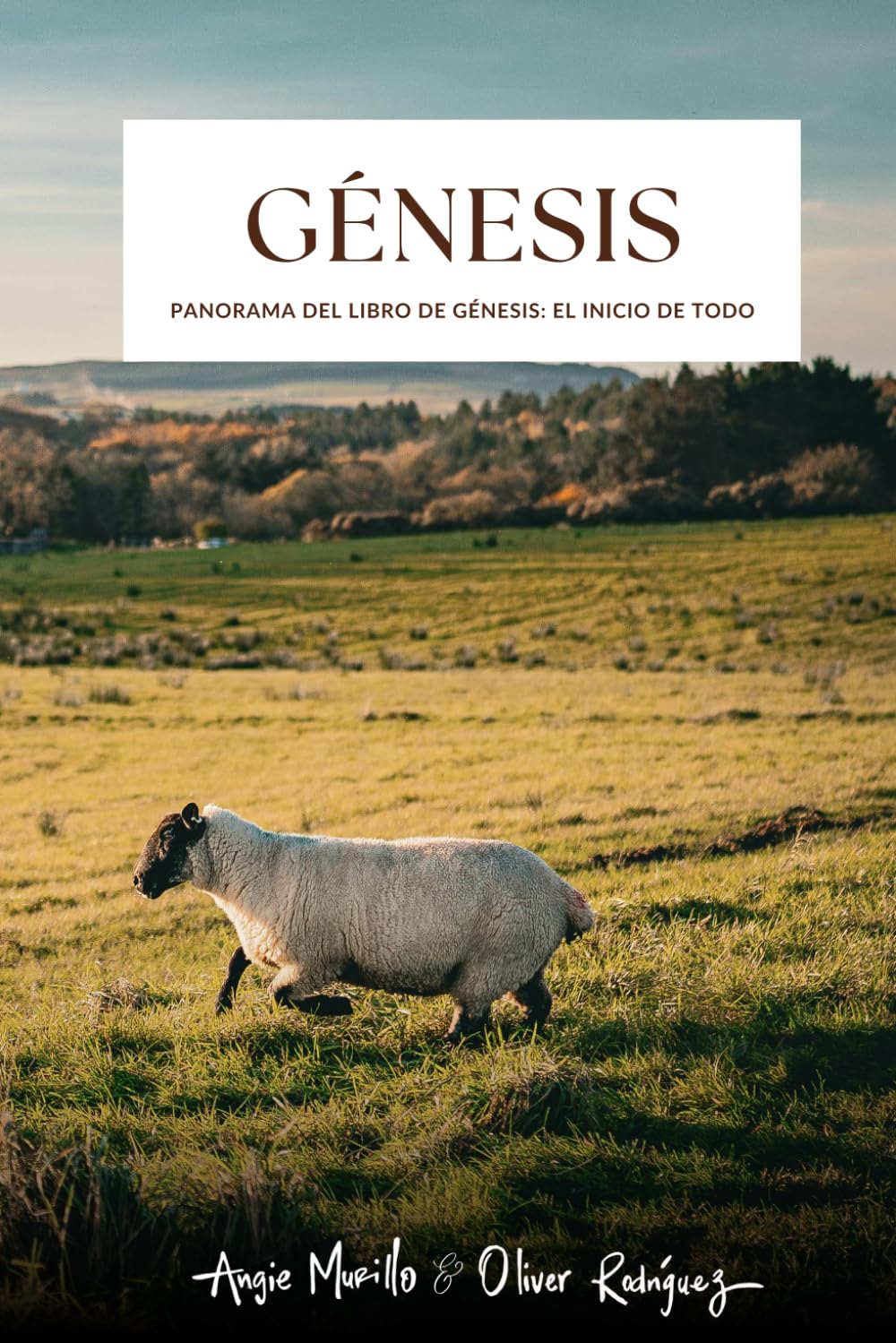 Génesis: Panorama del Libro de Génesis: El inicio de todo