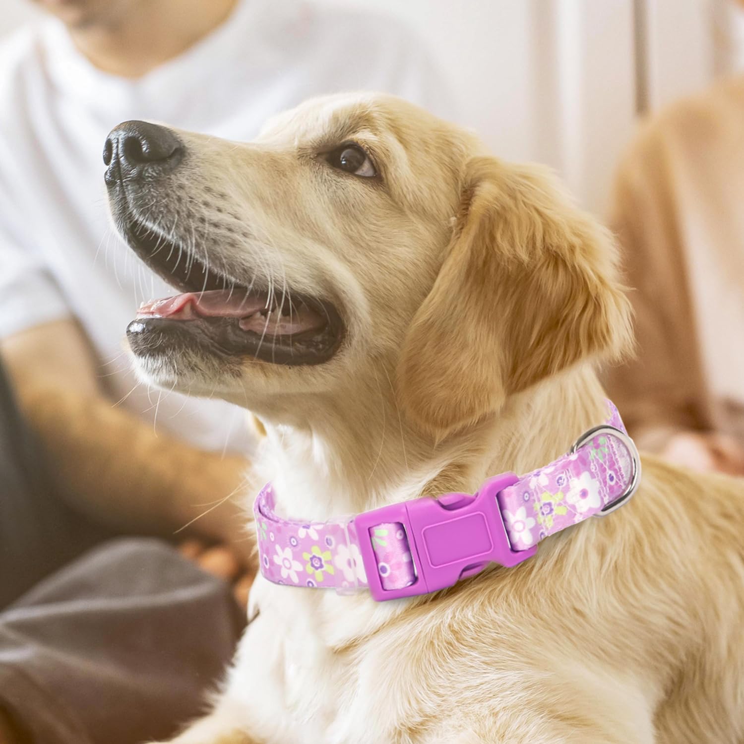 Girl Dog Collar with Purple Floral Patterns, Adjustable Cute Soft Pet Collar with Quick Release Buckle for Small Medium Large XL Dogs (Purple Flower M)