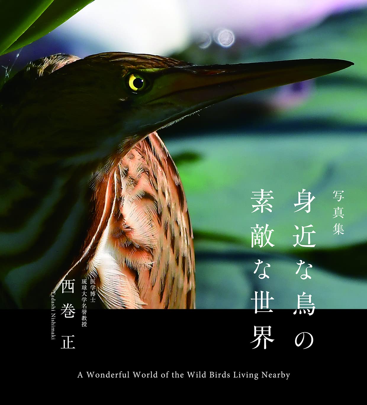 写真集 身近な鳥の素敵な世界 A Wondeful World Of The Wild Birds Living Nearby 西巻 正 西巻 正 本 通販 Amazon 写真集 身近な鳥の素敵な世界 A Wondeful World Of The Wild Birds Living Nearby 西巻 正 西巻 正 本 通販 Amazon