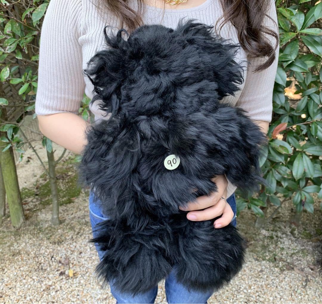 Amazon.co.jp: アルパカテディベア ベビーアルパカ100% L size