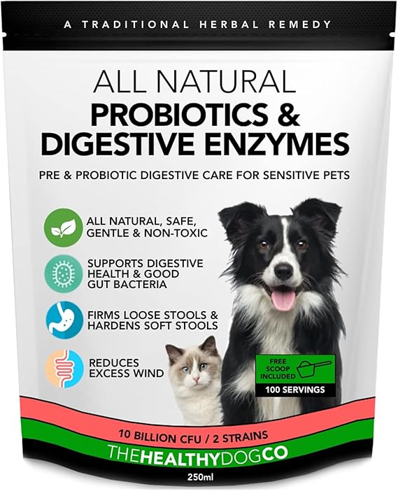 The Healthy Dog Co Probiotics for Dogs Dog Probiotic Probiotic