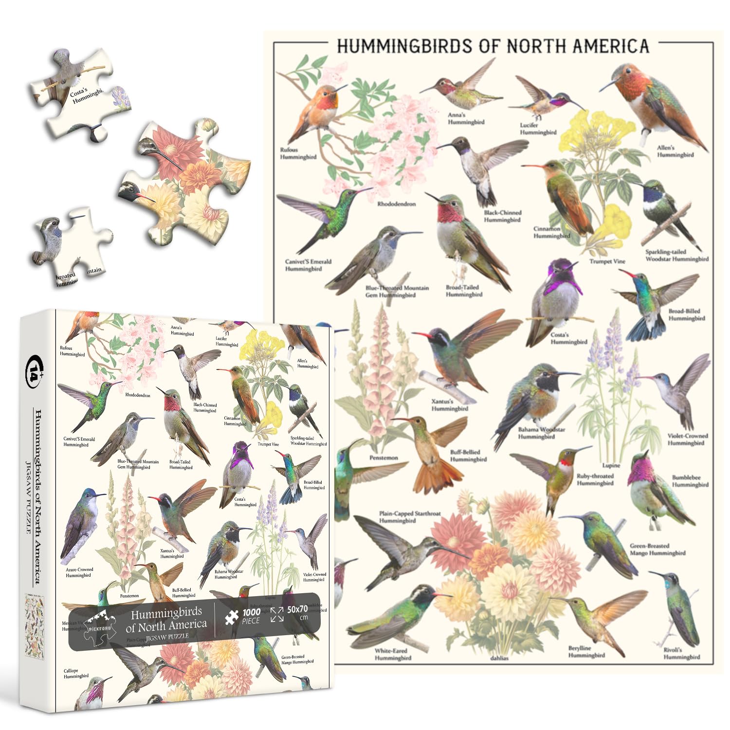 Hummingbird 1000 Piece Puzzle for Adults, PICKFORU Vintage Flower Garden Puzzle, Unique Animal Puzzle for Bird Lovers, Difficult Spring Art Jigsaw Puzzle