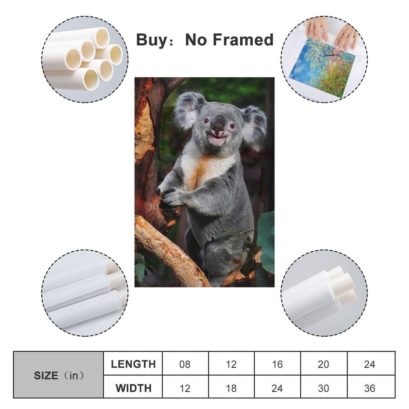 TTYQ Poster Koala Bear Rare Animals Wild Animals Posters Wall Art