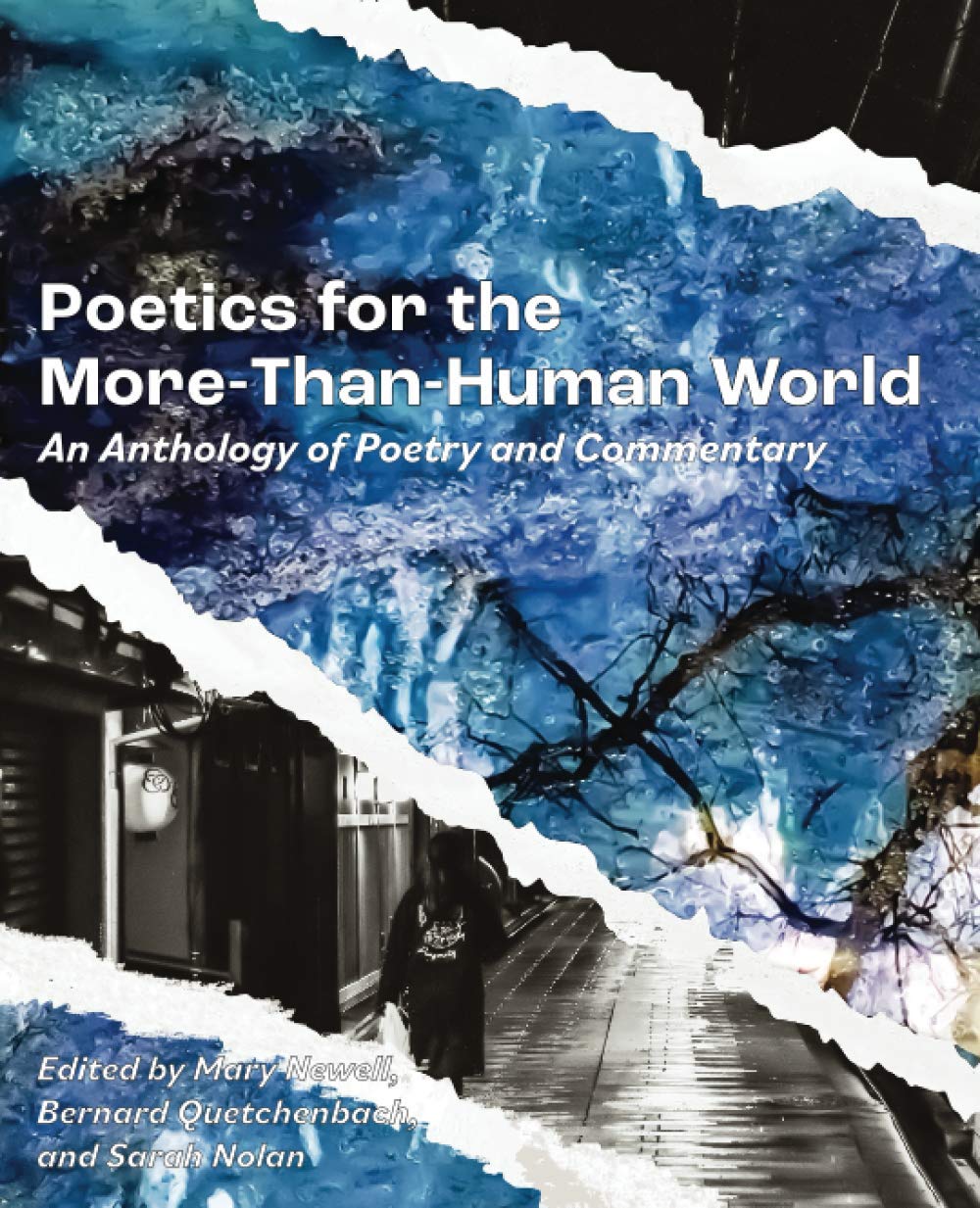 Poetics for the More-than-Human World: An Anthology of Poetry and Commentary