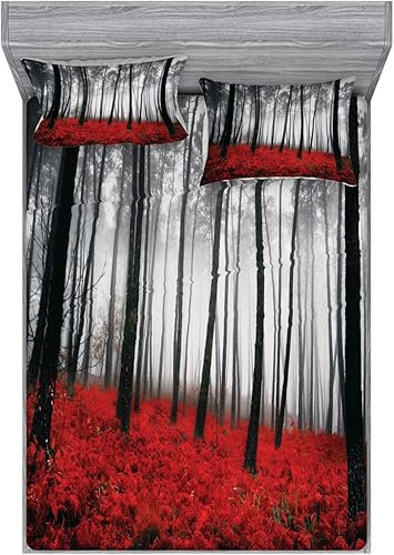 Miniatura 33 de Ambesonne Juego de sábanas bajeras y fundas de almohada, dibujos de aviones antiguos, vuelos clásicos con fechas, estilo vintage, diseño nostálgico,