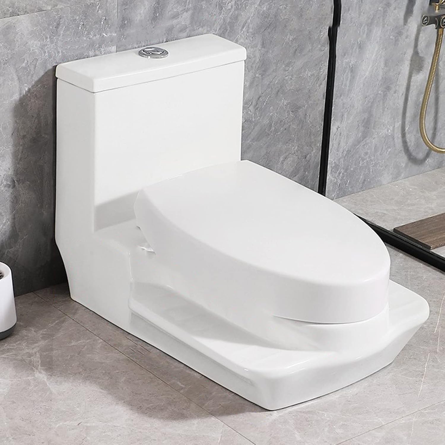 Ceramic Toilet, 2-in-1 Can Squat and Sit Dual-use One-Piece Toilet, Dual-Flush Mute Large ...