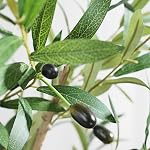 6ft Artificial Olive Tree, Fake Olive Tree with 756 Lifelike Olive Leaves and 54 Fruits, Tall Artificial Olive Silk Plants in White Pots for Living Room Bedroom Balcony Corner Office Decor