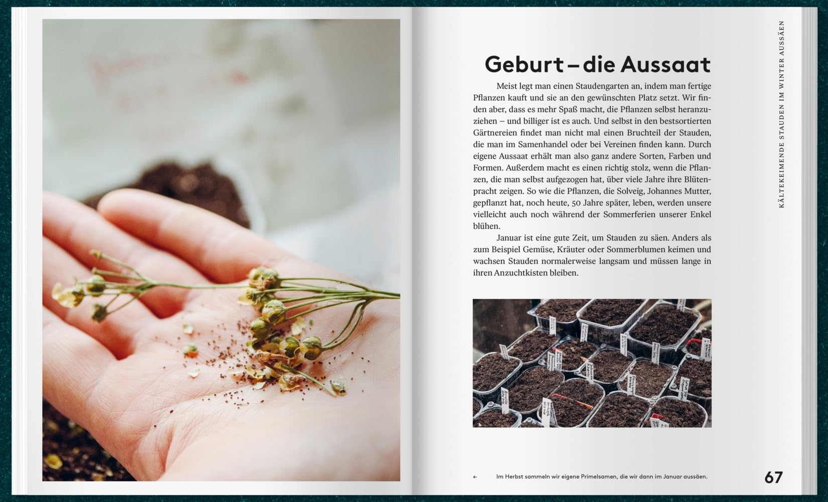 Mit Kaltanbau zu grünen Wundern: Für ganzjährige Erntefreude und robuste Pflanzen. Das ganze Jahr über aussäen, pflanzen und ernten: Gemüse, Stauden und Sommerblumen nachhaltig anbauen.
