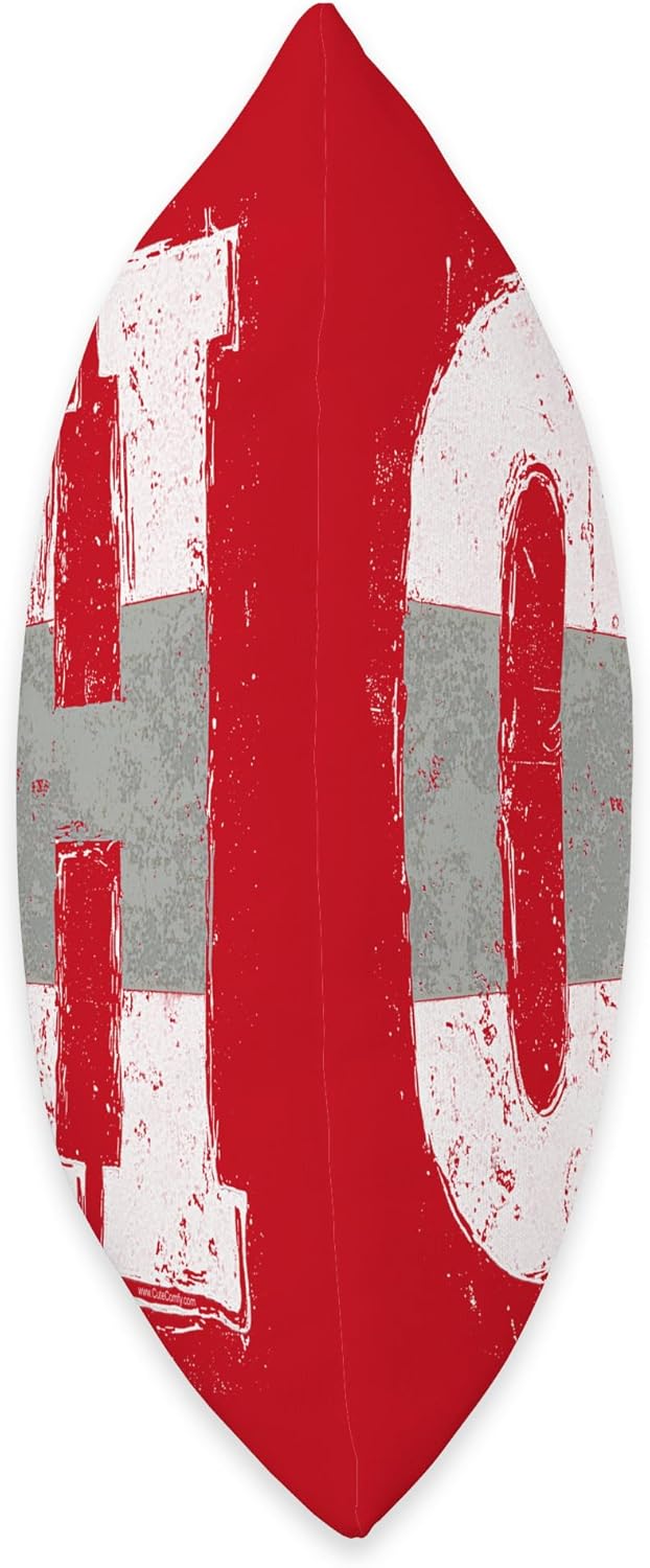 Ohio O-H Vintage Grunge Red Buckeye Home State Throw Pillow