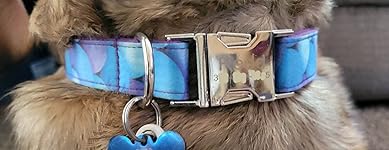 Review Image by Betsy P. Betsy P.