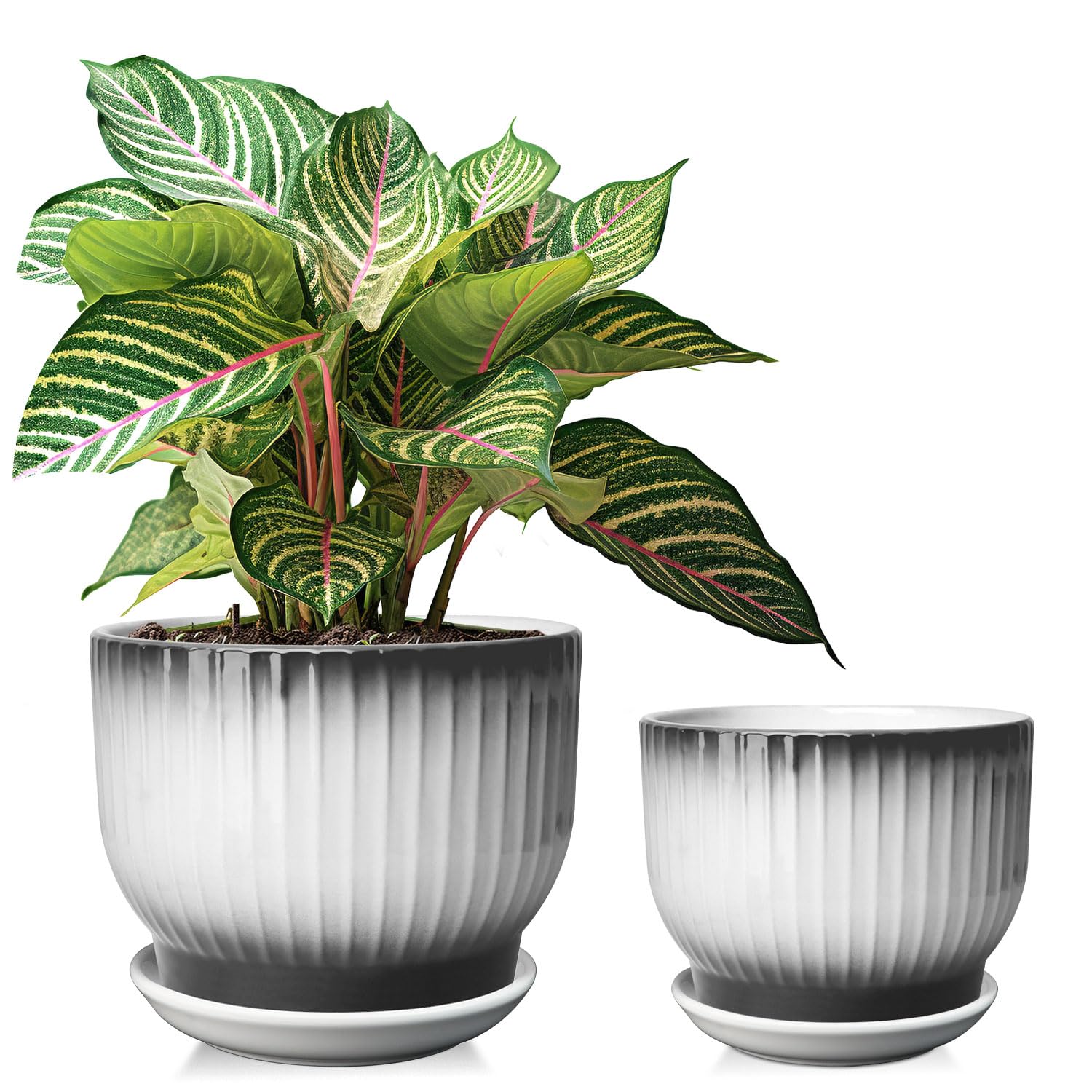 YUFDA black and white gradient ceramic plant pot set