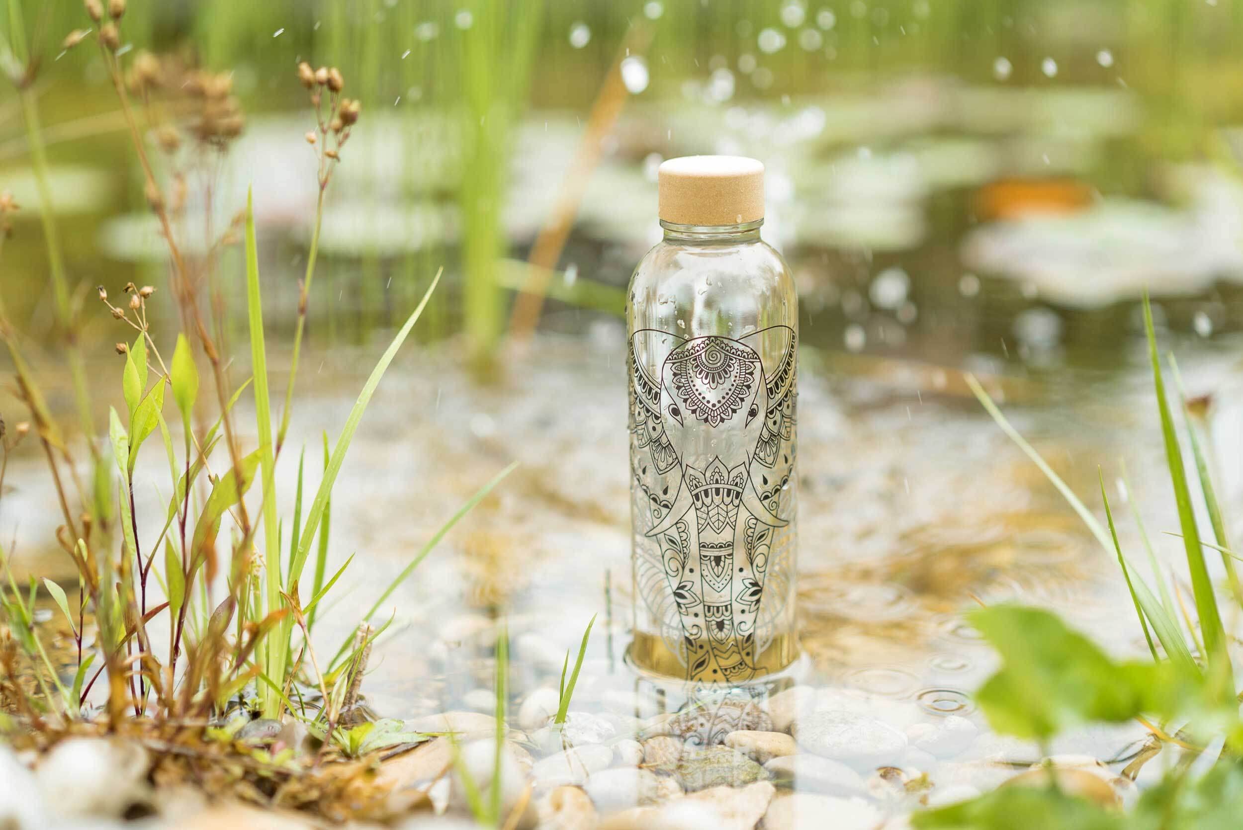 Carry Carrybottles - Borraccia in vetro da 0,7 l (Pure), senza BPA, a tenuta stagna e gassata, made in Germany