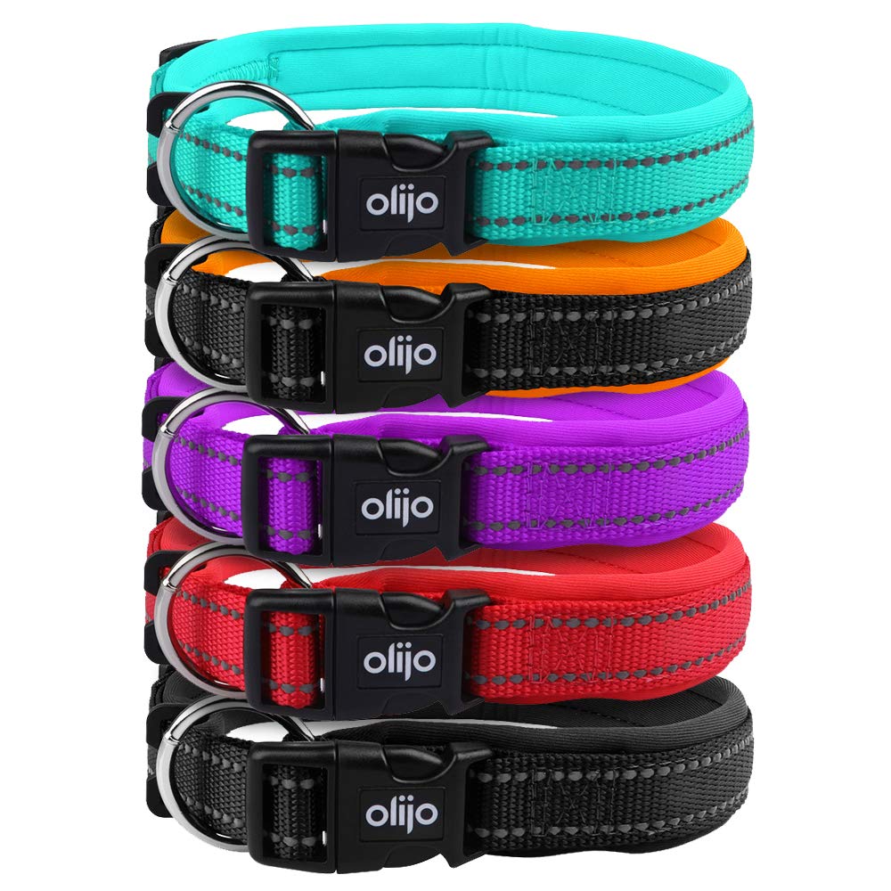Padded Dog Collar, UK Brand, Adjustable, Reflective, Ultra Soft Breathable Neoprene padding. 4 sizes, 5 colours, Premium X-Strong Nylon, plus Safety Buckle. Odour Resistant & Fast Drying