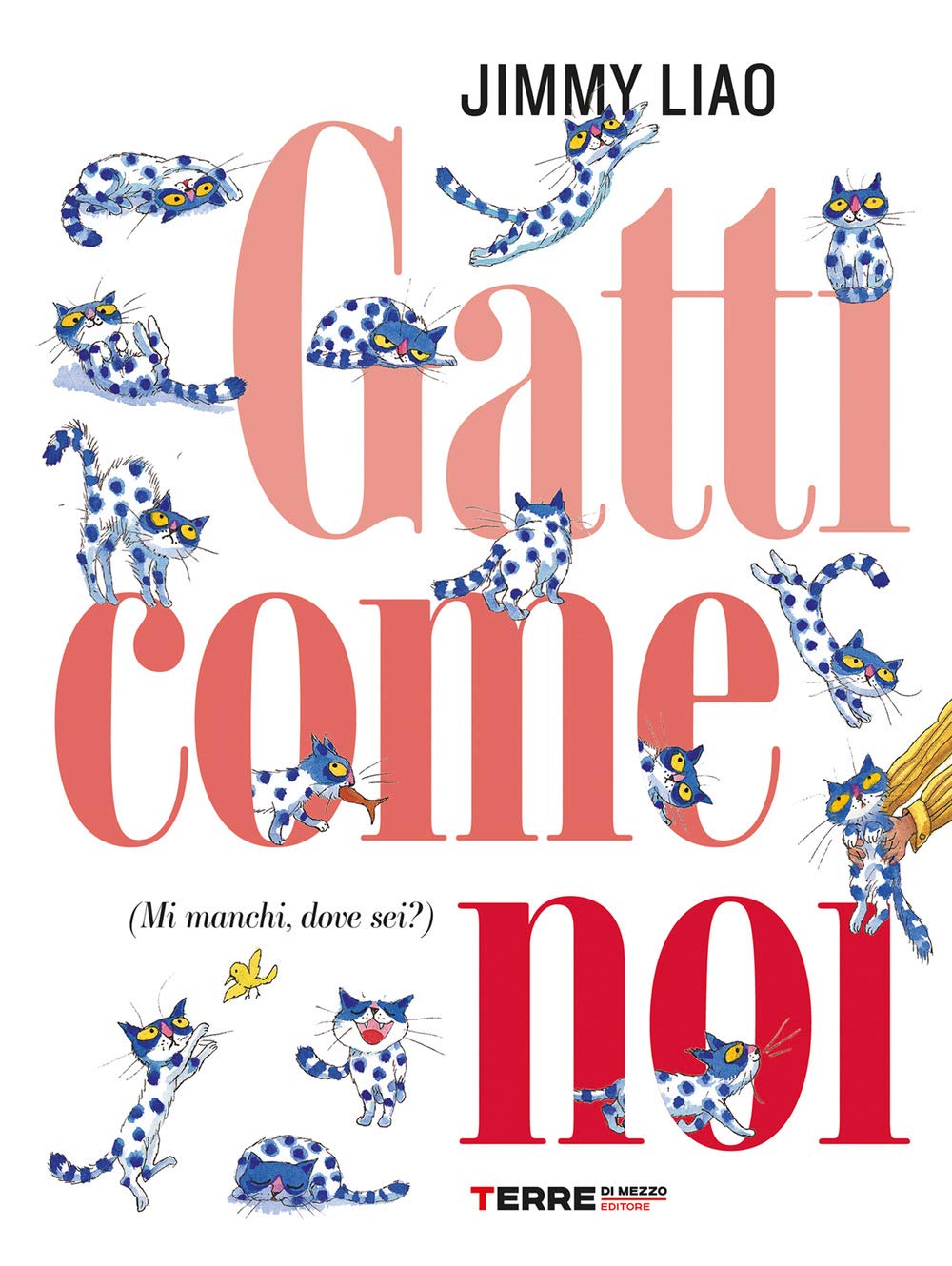 Gatti Come Noi (Mi Manchi, Dove Sei?) - 4