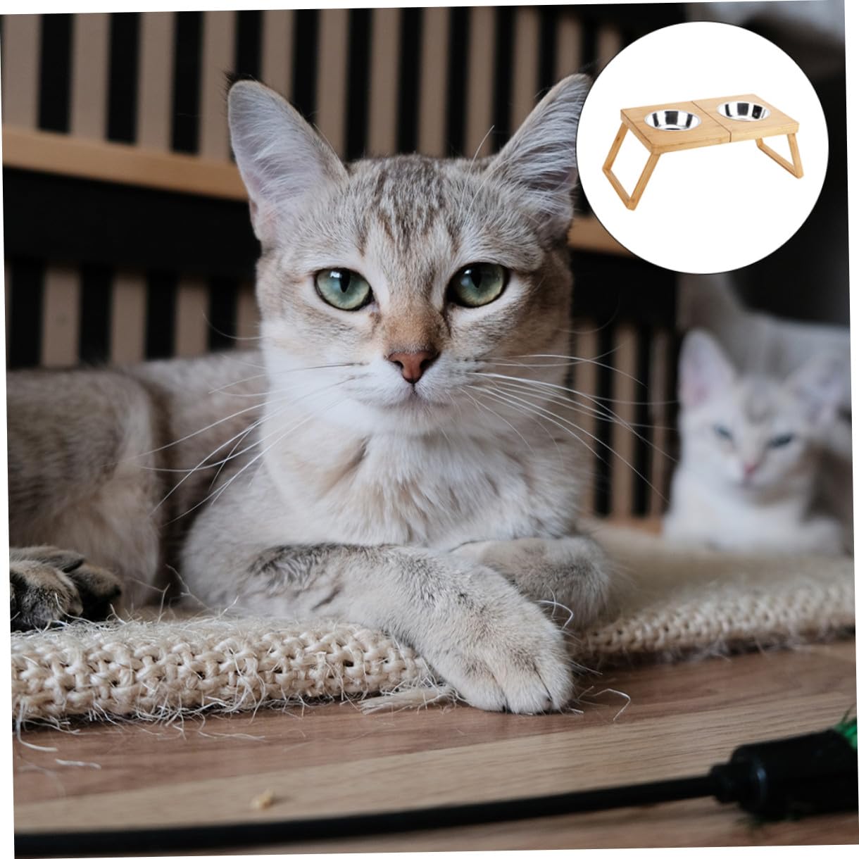 1pieza Comedero Doble para Soporte Inoxidable Cuencos para y Gatos De Limpiar y Almacenar