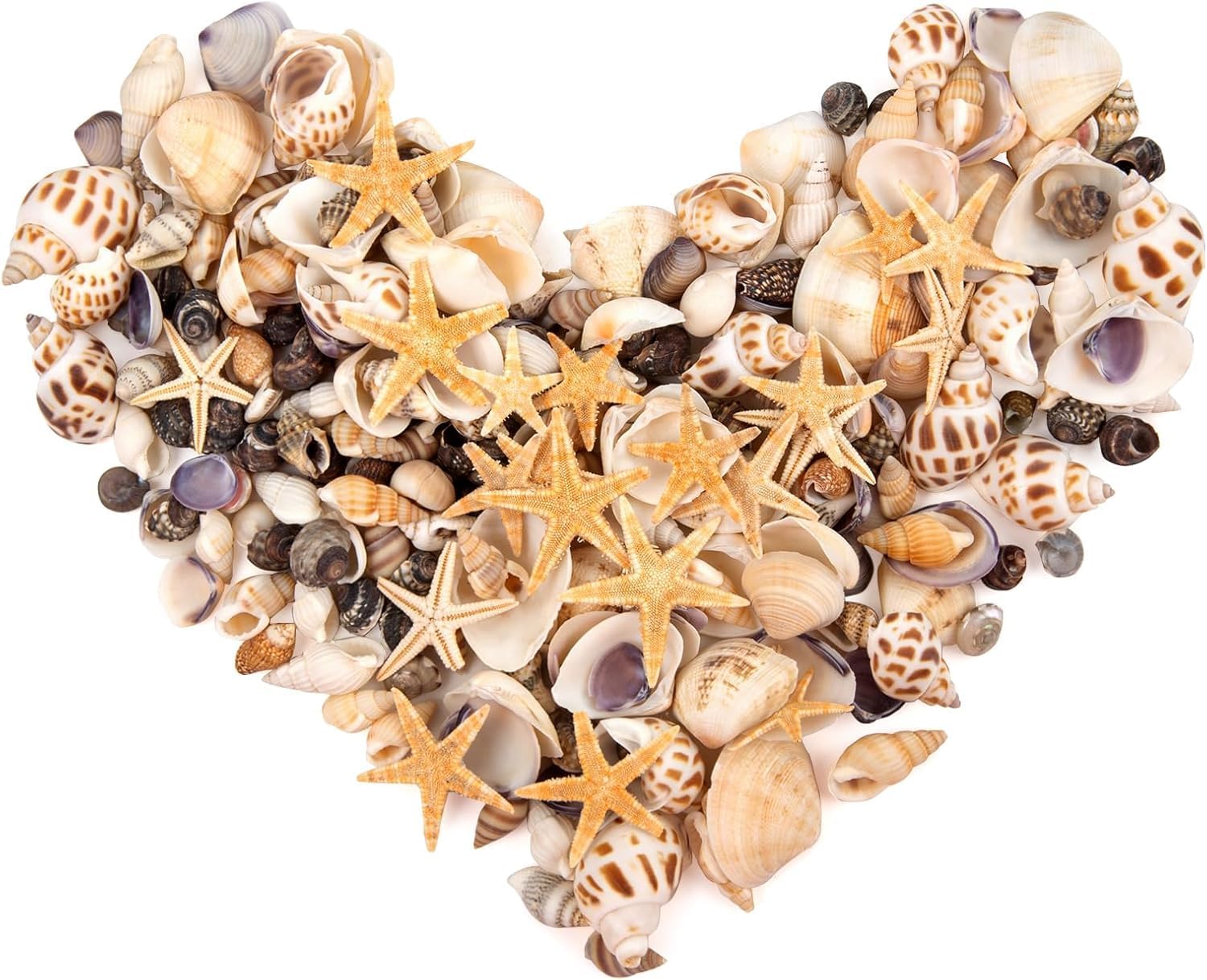 450PCS Small Sea Shells and Mini Starfish Mixed Natural Seashells Bulk for Crafs Beach Painting Candle Making Fish Tank and Vase Fillers (180g)