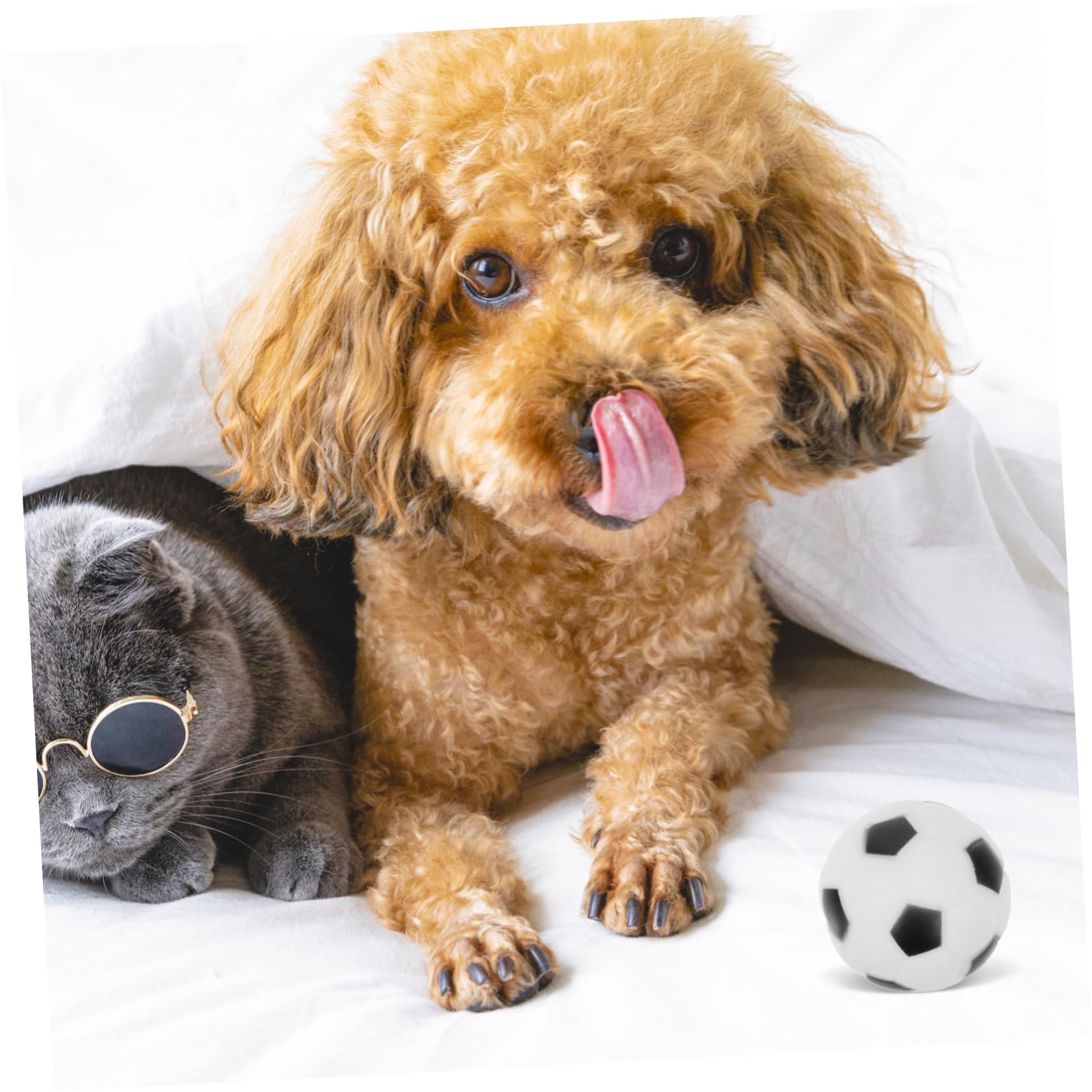 BESPORTBLE 16stücke Quietschendes Hundespielzeug Fußball Unzerstörbares Kauspielzeug Für Hunde Interaktives Spielzeug Bewegung Und Vertrauen Für Welpen Und Kleine Bis Große Hunde