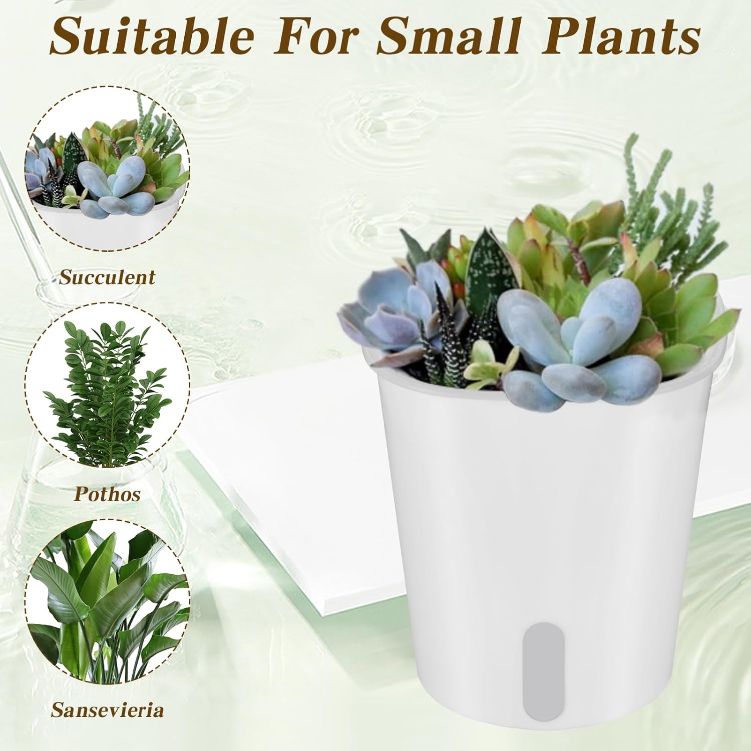 4 Inch Self Watering Pots for Indoor Plants,10 Sets Self Watering Planter Pots with Visual Water Level Window and Multiple Vents,Self Watering Plant Pot for All House Plants,Flowers,Herbs
