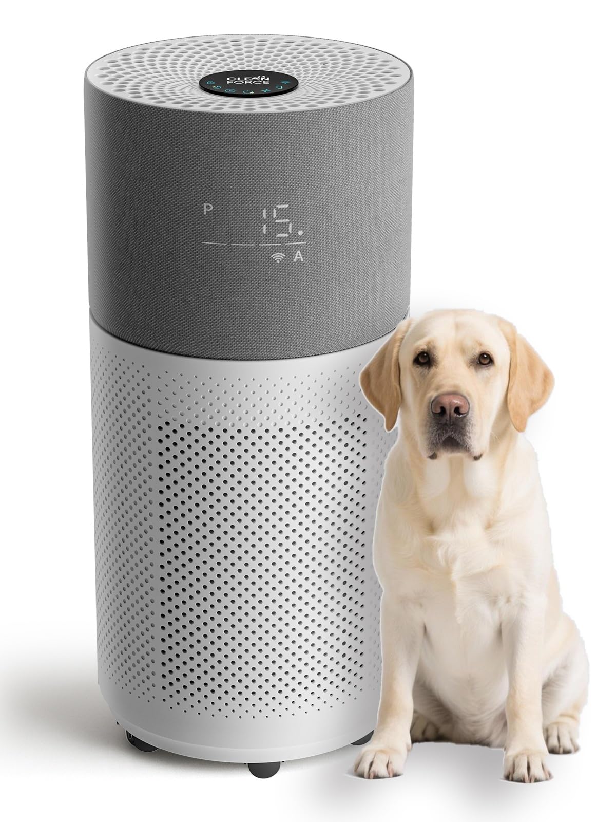 - CleanForce Air Purifier for Home Large Room up to 2550 ft², Swiss Sanitized HEPA & Carbon Filter, asthma & allergy friendly Certified for Dust/Pollen/Pet Dander, Alexa/App Control, Ozone-Free, Rainbow