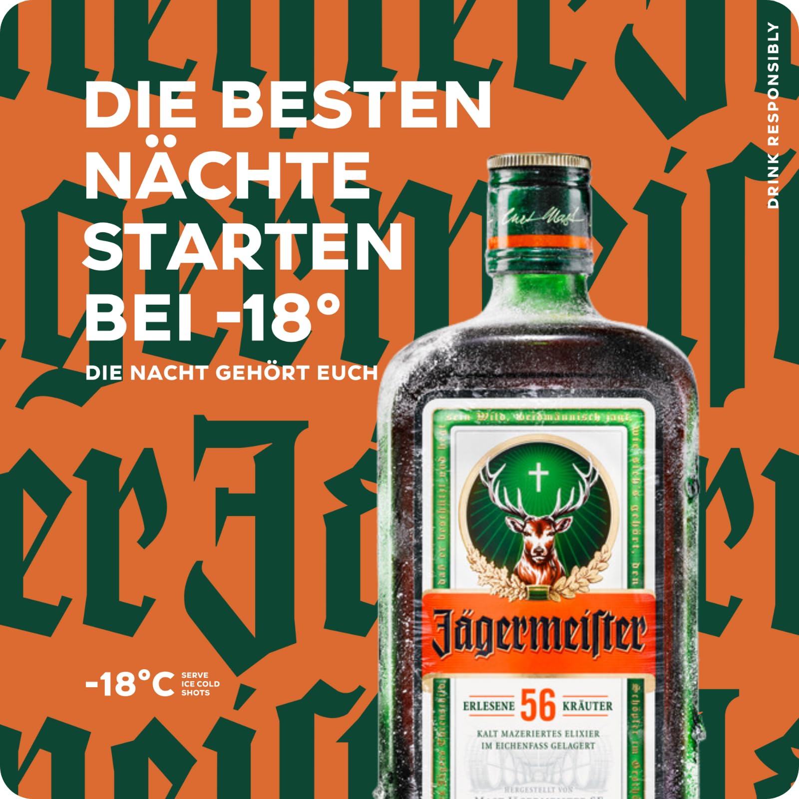 Jägermeister 35% Vol. 3l