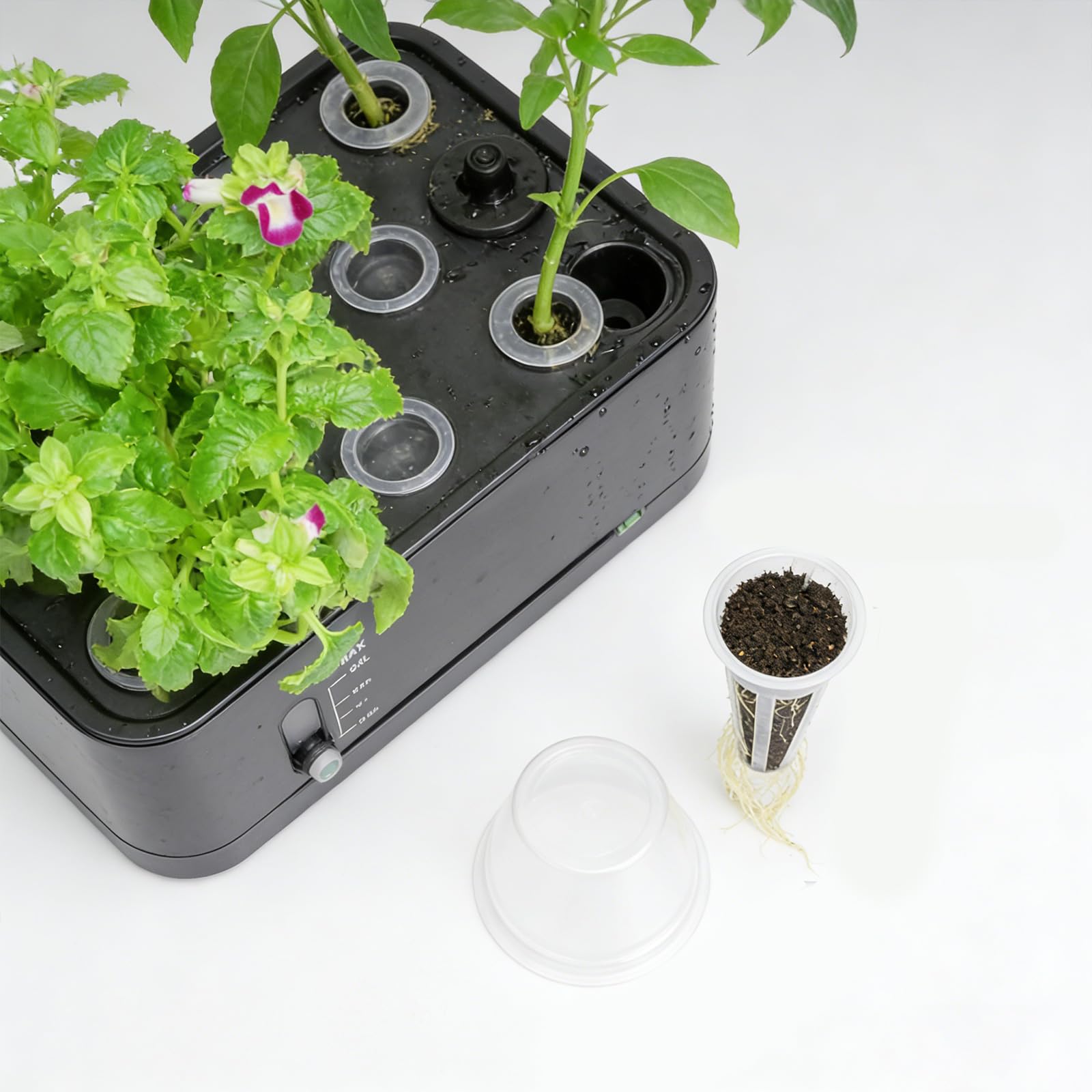 Kit de démarrage aquaponique avec Cubes de et gobelets en Filet, paniers de Culture hydroponique pour Jardinage Domestique, Fourniture de Jardinage intérieur