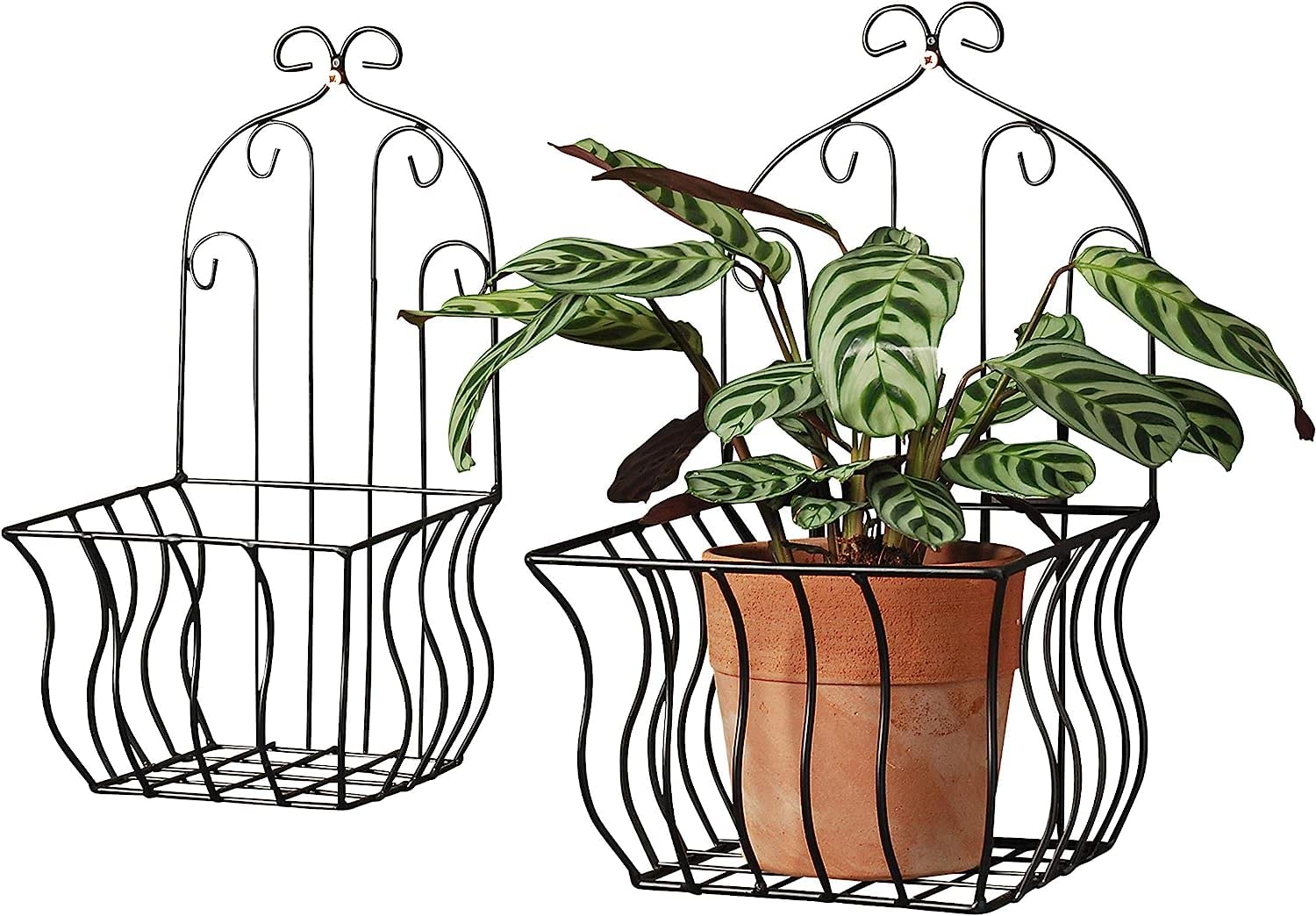 Pack of 6 Wall Mount Flower Pot 10 cm Flower Pot Holder Wall Ring Wall Mounted Plants Plant Holder for Home Garden Balcony Black (premium plant stand)