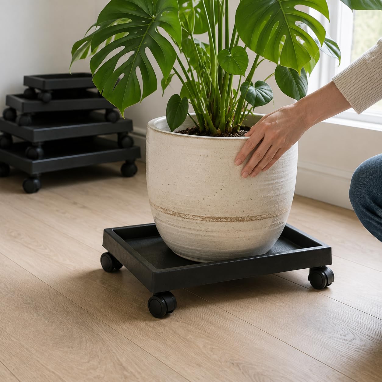 Pflanzencaddy, Pflanzenroll aus Resin , Rechteckig Rollen 44.7cm