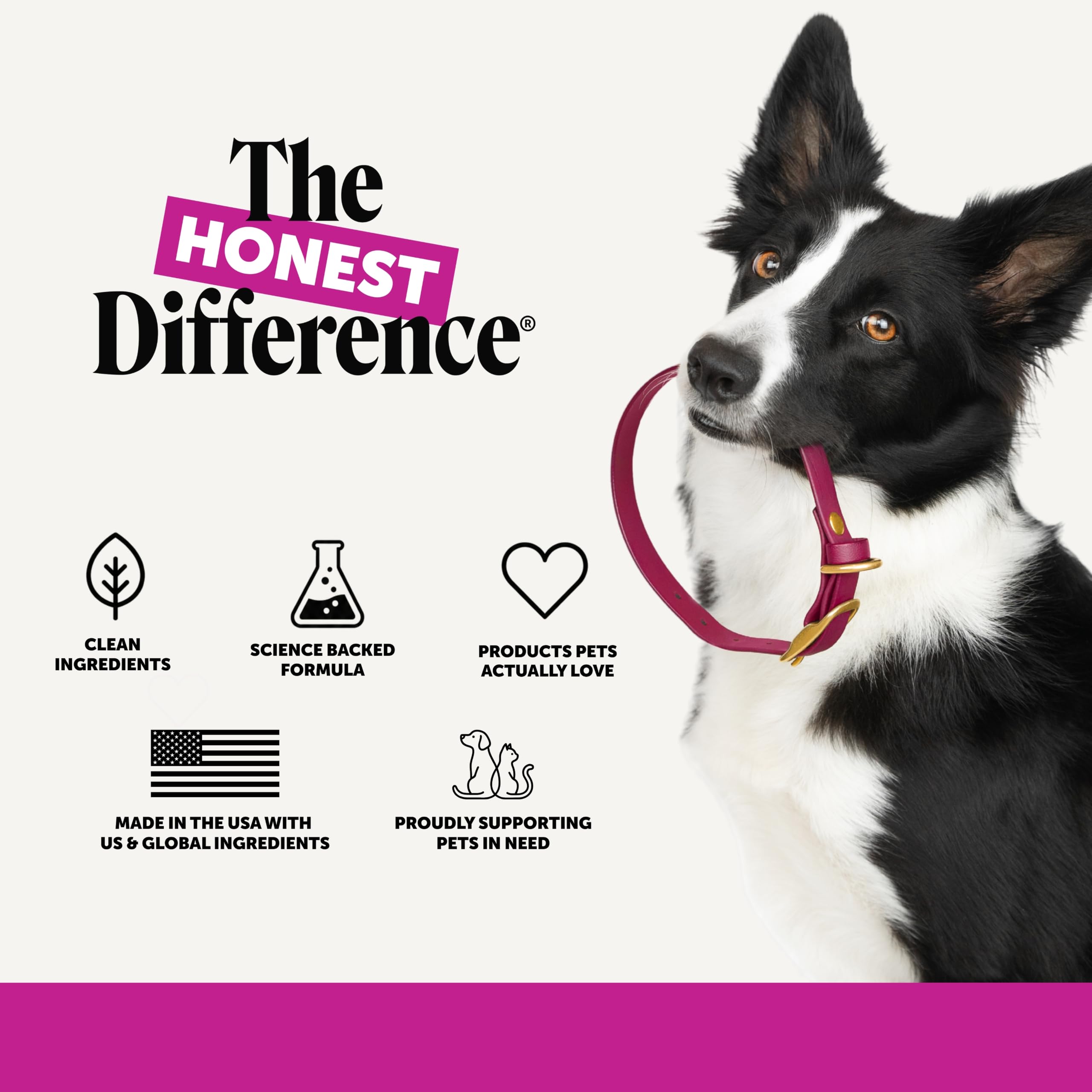 Pet Honesty Vet Recommended 10-in-1 Dog Multivitamin, 90 Ct, Chicken — Amazon image 8