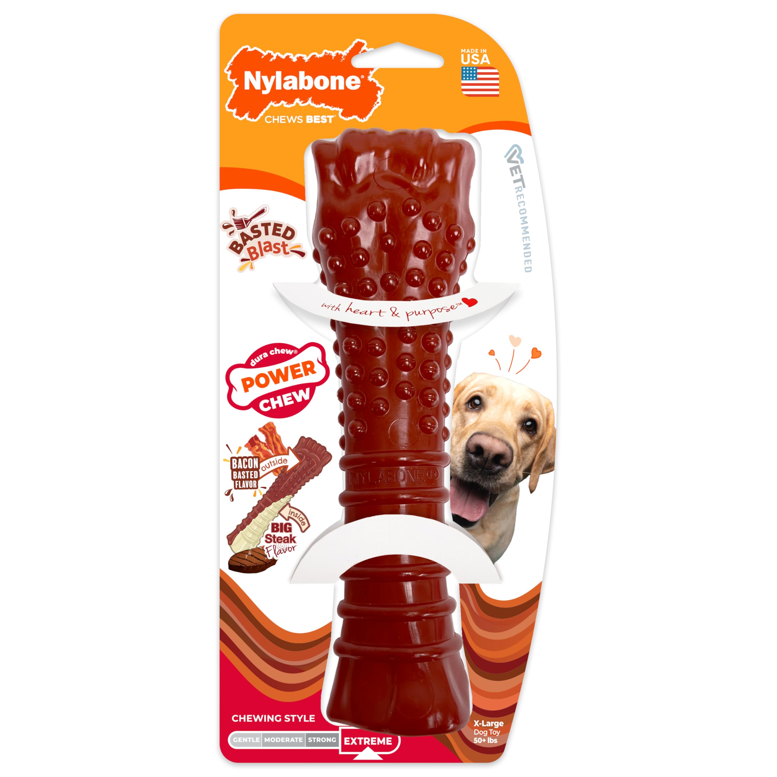 Nylabone Power Chew Basted Blast Dog Chew Toy, Bacon & Steak Flavor