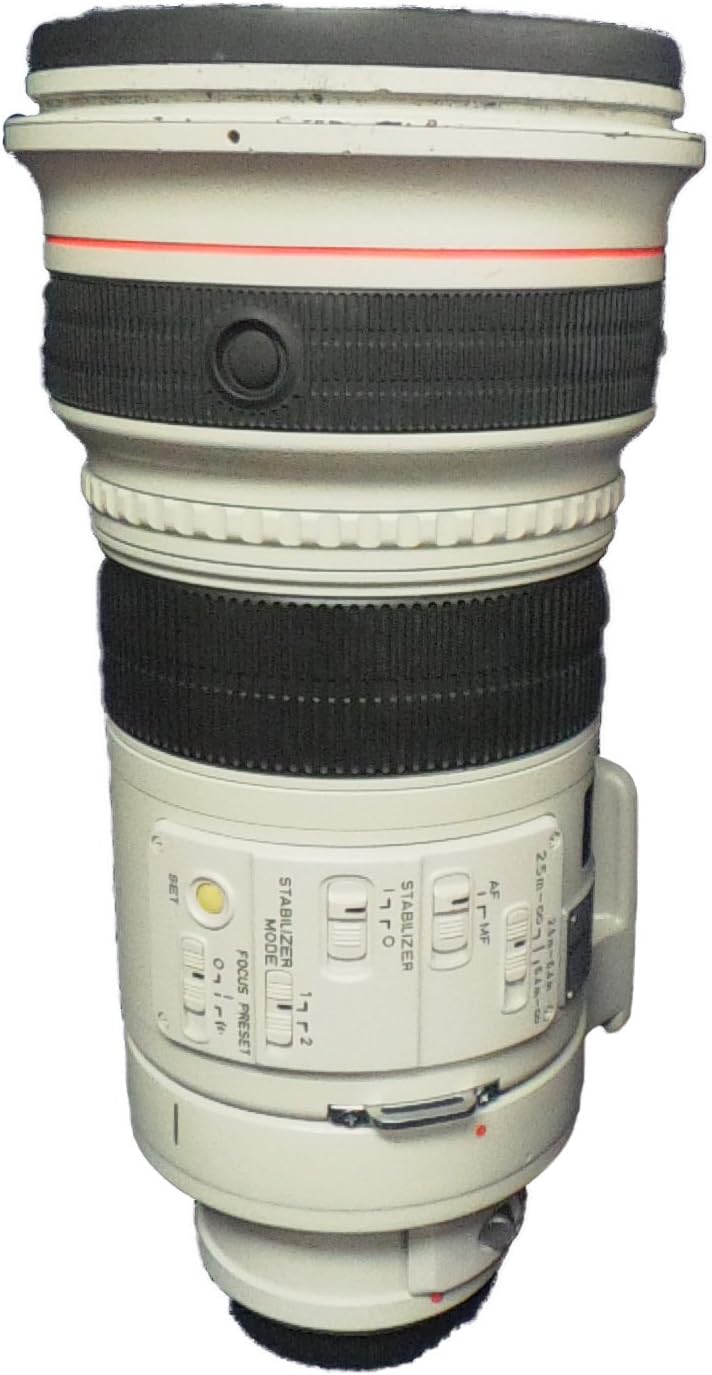 Canon EF 300mm f/2.8L IS USM Telephoto Lens for Canon SLR Cameras