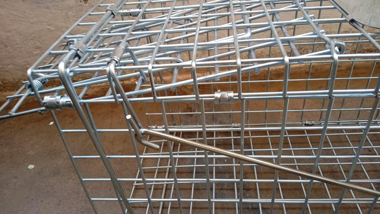 Trap cage-Good for Wild Cat Squirrel Rodents Rabbit to Release in Forest *Birds' Park* 1