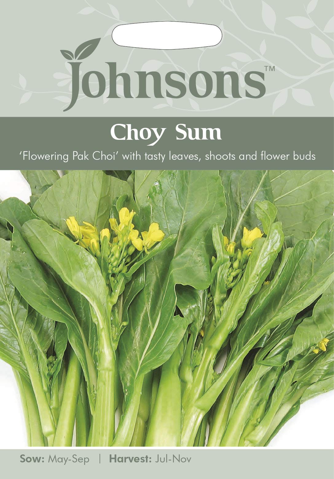 Johnsons Seeds Choy Sum - Flowering Pak Choi Seed