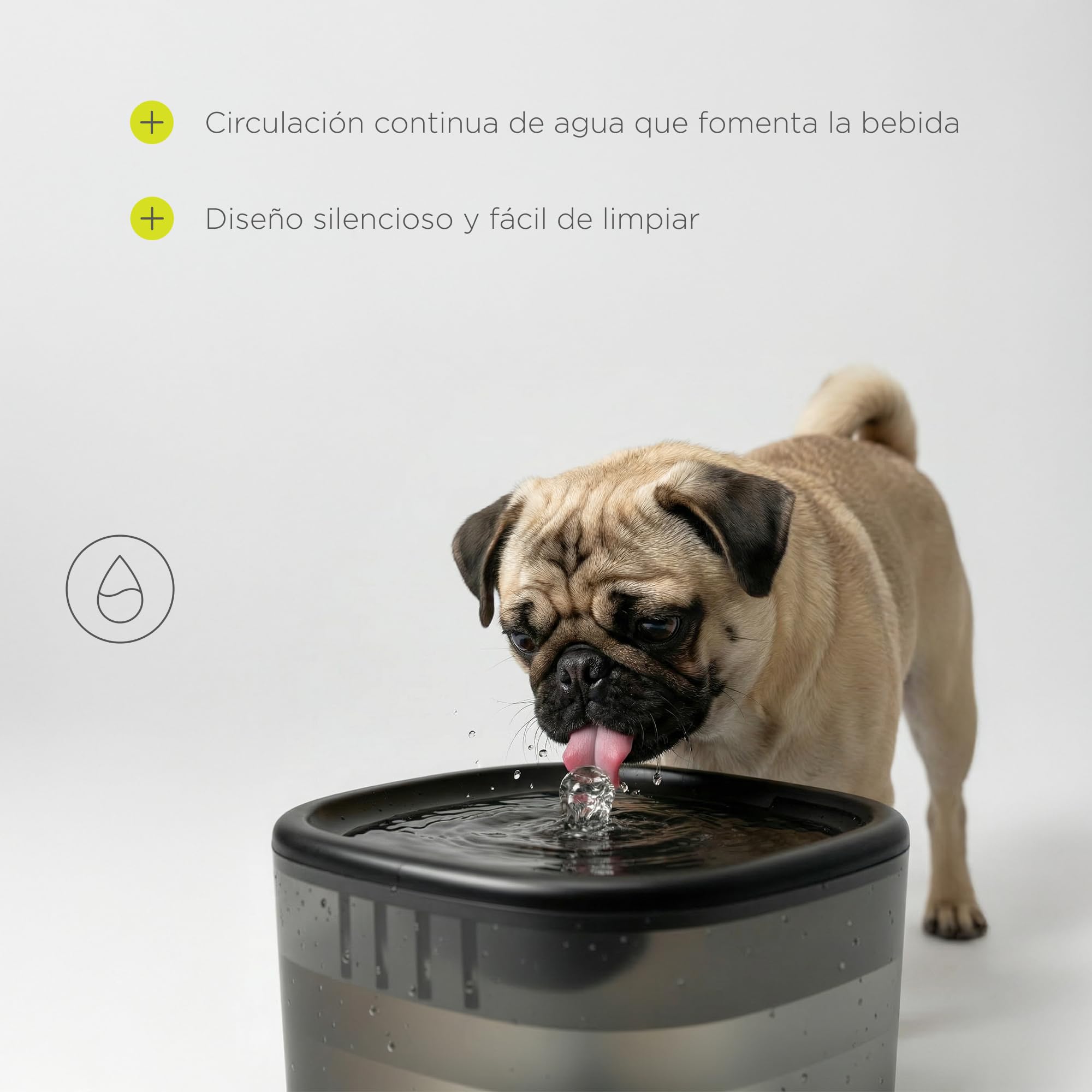 Feast Comedero Automático para Perros con Cámara 3MP y Visión Nocturna, Control por App Wi-Fi, Programable 5 Comidas, Depósito 4,5 l con Desecantes, Fuente de Agua con Filtro 2,5 l