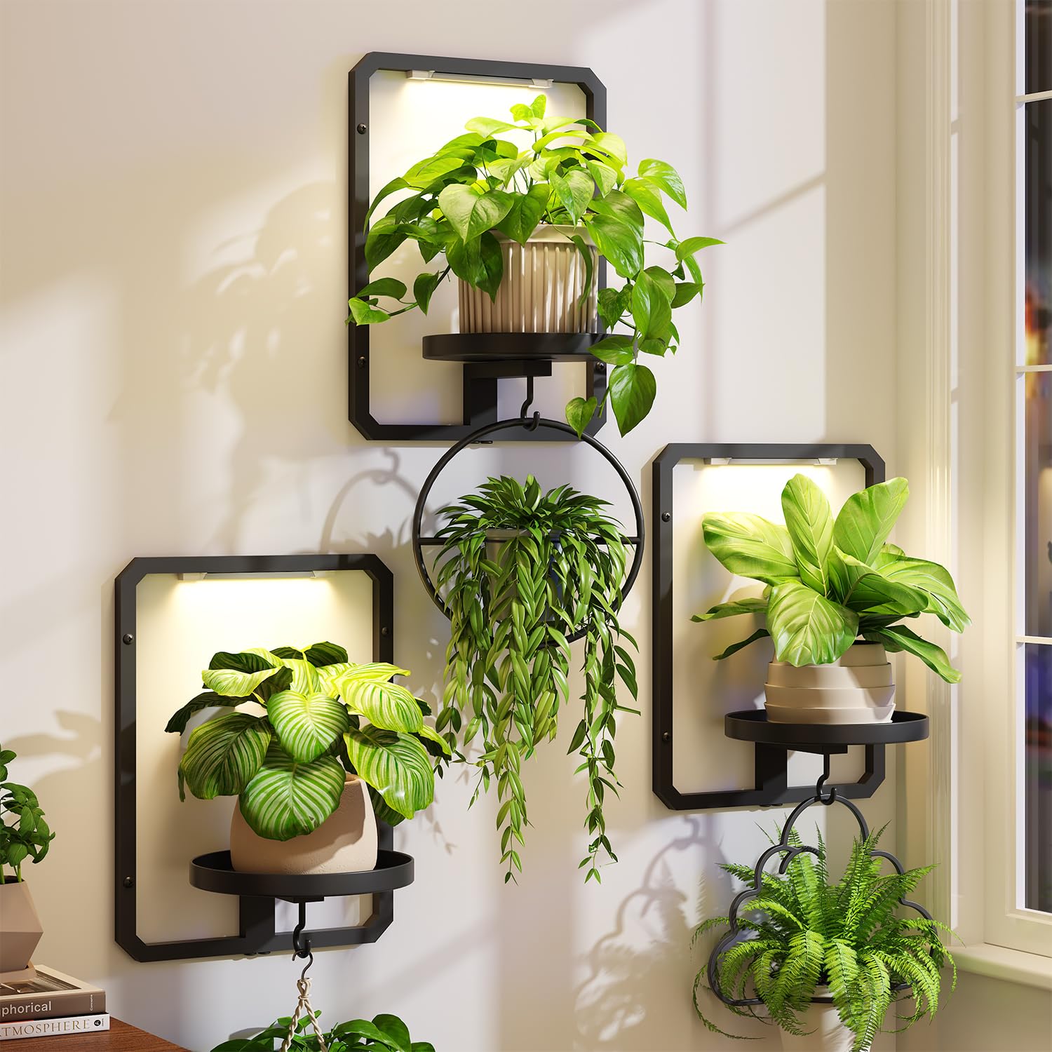 Photo 1 of iDavosic.ly Wall Plant Picture Frame Holder Set of 3 with 3 Grow Light for Indoor, Metal Stand with Hanging Hooks, Space Saving Floating Flower Display Decor (Pots/Chains/Plants Not Included)